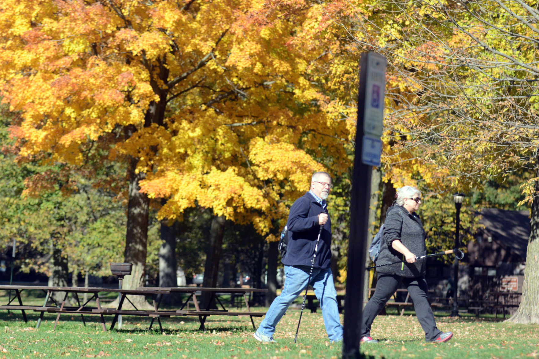 Baraboo area fall color, Oct. 8, 2020